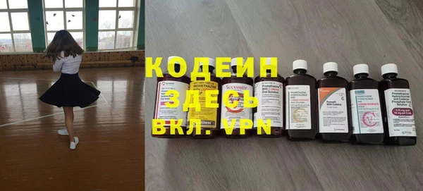 прущие грибы Дмитровск