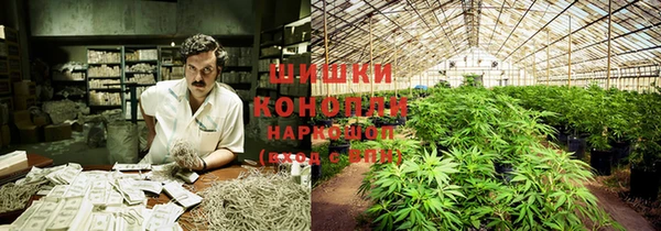 прущие крисы Дмитров