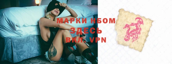 прущие грибы Дмитровск