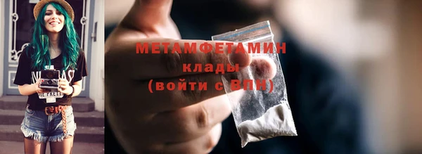 прущие грибы Дмитровск