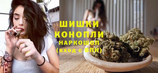 прущие грибы Дмитровск