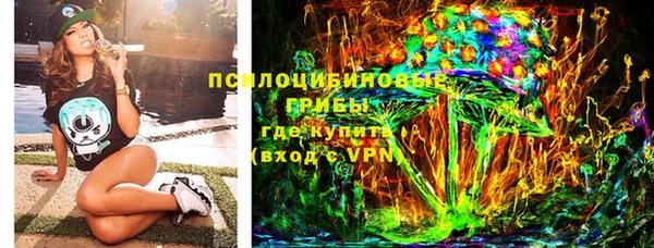 прущие грибы Дмитровск