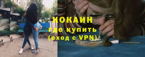 прущие грибы Дмитровск