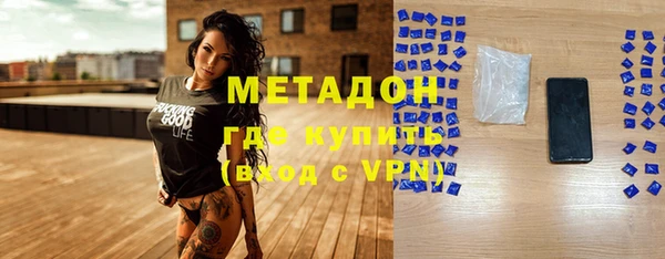 прущие грибы Дмитровск