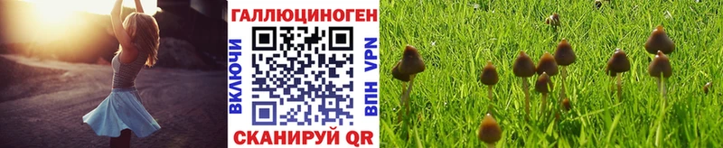 Псилоцибиновые грибы мухоморы  Купить закладки  Ессентуки 